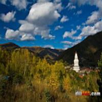 第一城市旅游纽约