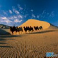 普罗旺斯薰衣草园