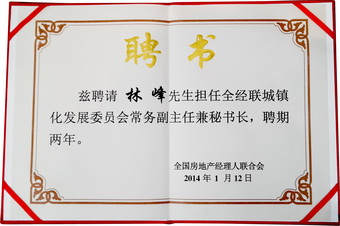 城镇化委员会常务副主任聘书