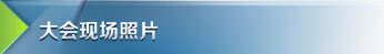 大会现场照片