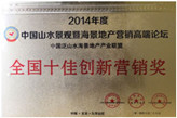 2014全国十佳创新营销奖