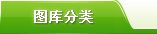 主营业务