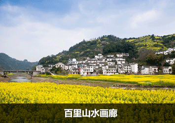 百里山水画廊