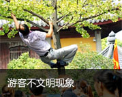 游客不文明现象