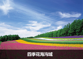 四季花海沟域